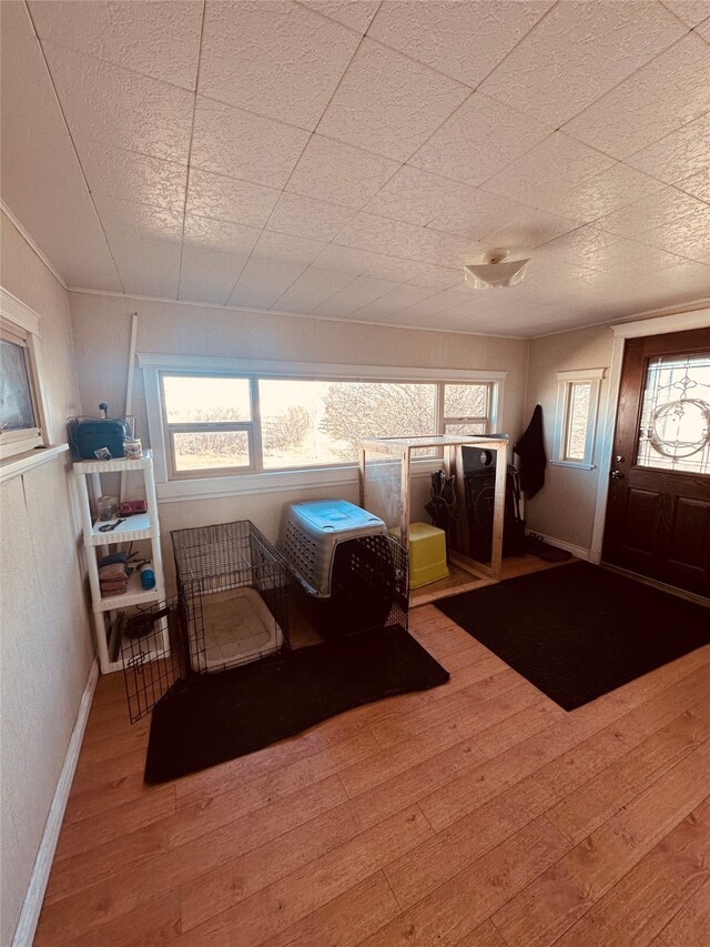 interior space featuring plenty of natural light and hardwood / wood-style flooring