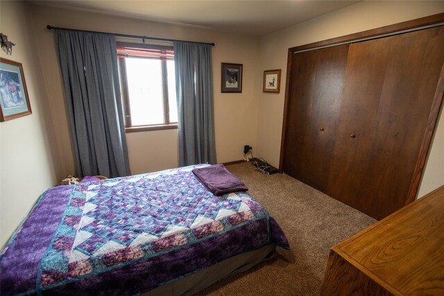 bedroom featuring a closet and carpet