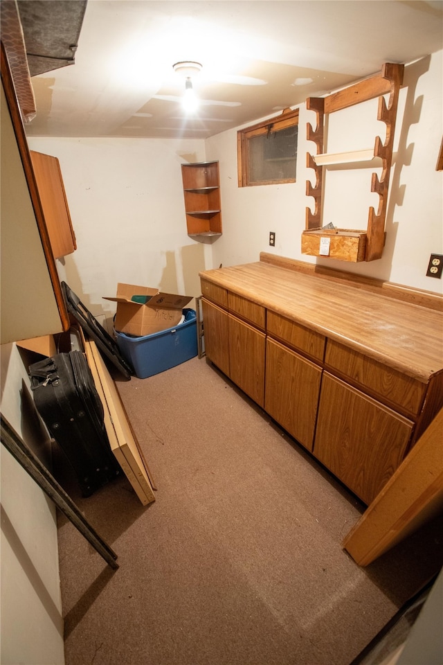 interior space featuring carpet flooring