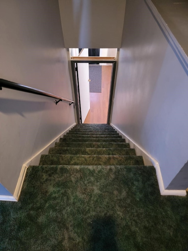 staircase with carpet floors