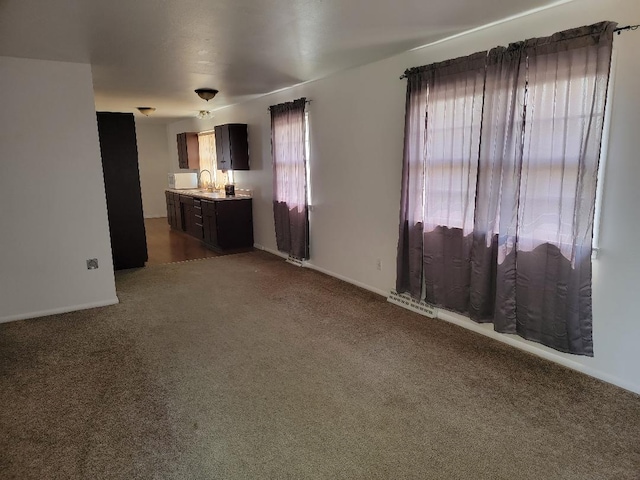 interior space with sink and carpet flooring