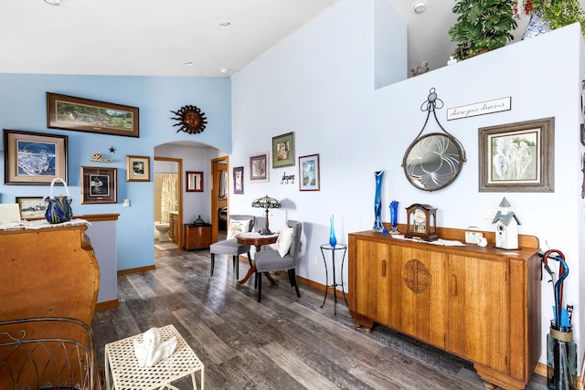 living area featuring dark hardwood / wood-style flooring and high vaulted ceiling