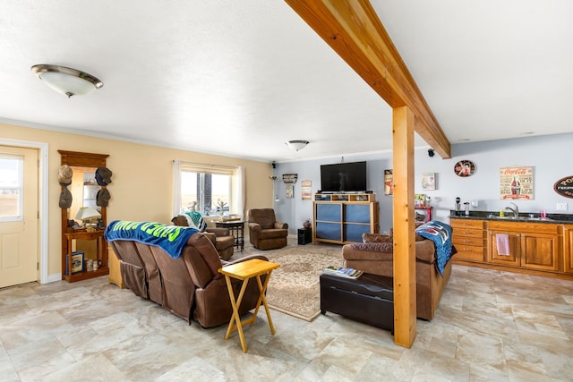 living room featuring sink and ornamental molding