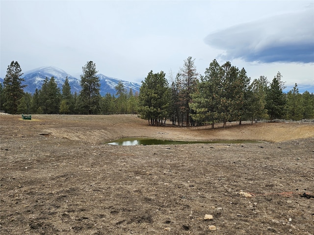 NHN El Capitan Loop, Stevensville MT, 59870 land for sale