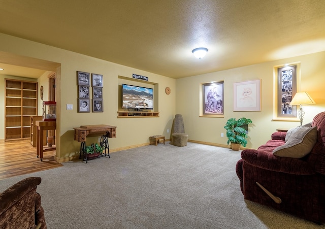 30 Demers Pl, Eureka, MT 59917 - living room with carpet flooring and a textured ceiling