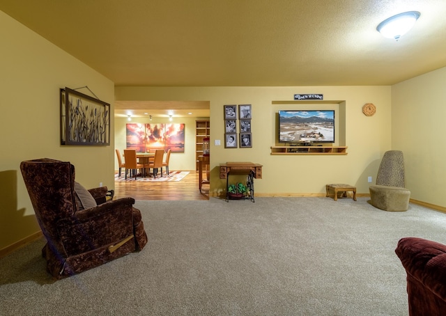 30 Demers Pl, Eureka, MT 59917 - sitting room with carpet flooring