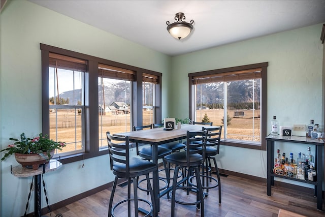 165 Jewel View Dr, Columbia Falls, MT 59912 - dining area featuring plenty of natural light and dark wood-type flooring