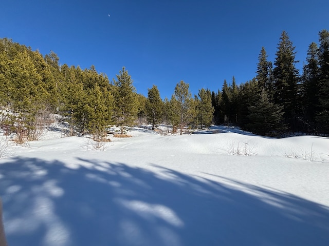 Listing photo 3 for 121 S Granite Rd, Philipsburg MT 59858