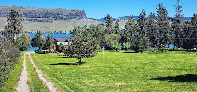 exterior space featuring a mountain view and a lawn