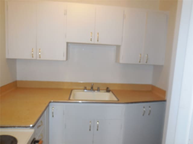 kitchen featuring sink and white cabinetry