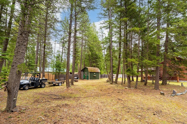 view of yard featuring a shed