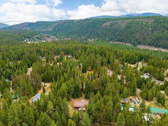 bird's eye view featuring a mountain view