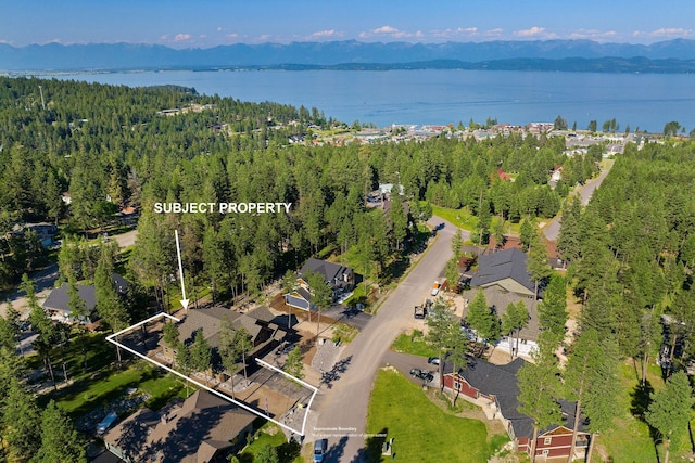 drone / aerial view featuring a water and mountain view