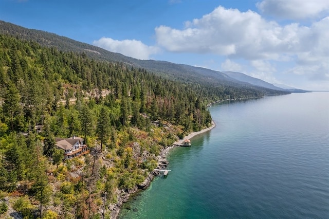 birds eye view of property with a view of trees and a water and mountain view