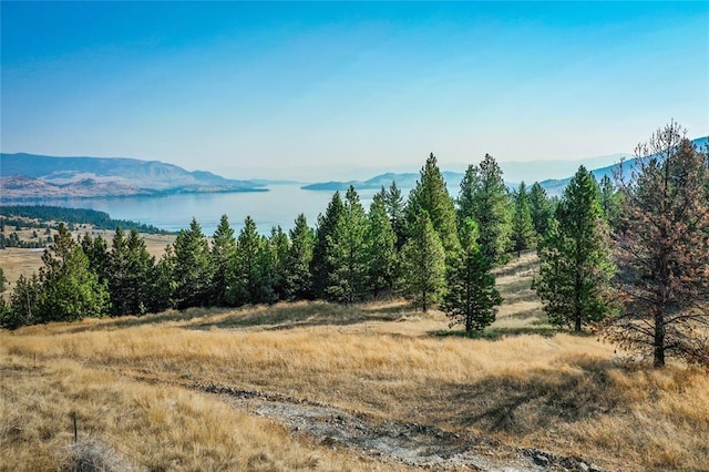 29011 Walking Horse Ln, Big Arm MT, 59910 land for sale