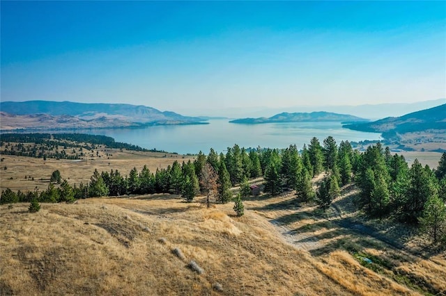 29011 Walking Horse Ln, Big Arm, MT 59910