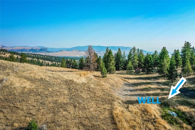 29011 Walking Horse Ln, Big Arm, MT 59910