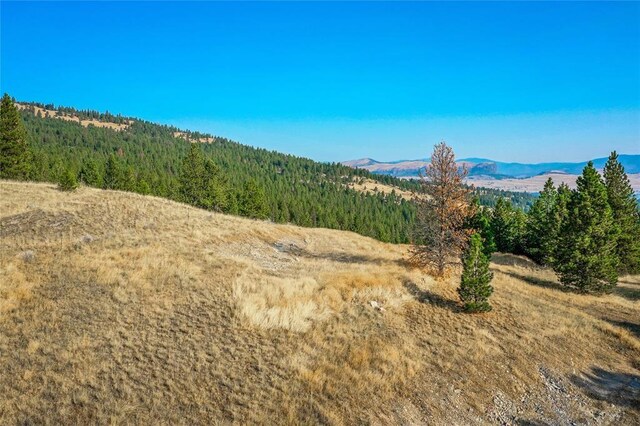 29011 Walking Horse Ln, Big Arm, MT 59910