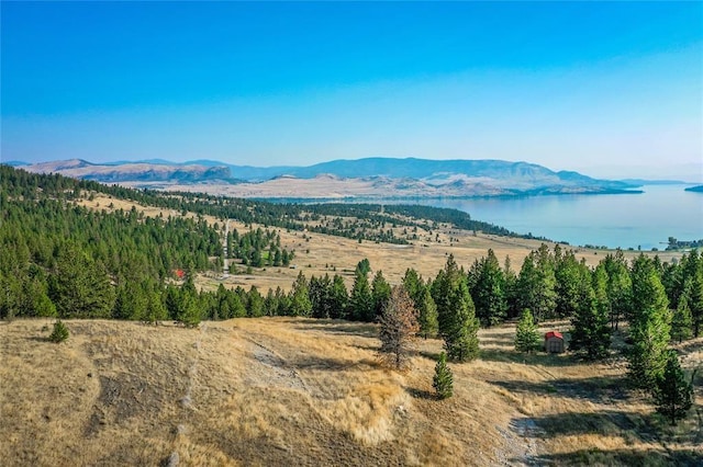 29011 Walking Horse Ln, Big Arm, MT 59910