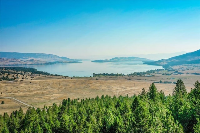 29011 Walking Horse Ln, Big Arm, MT 59910