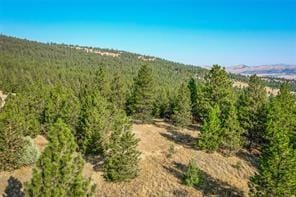 29011 Walking Horse Ln, Big Arm, MT 59910
