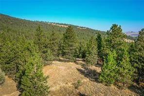 29011 Walking Horse Ln, Big Arm, MT 59910