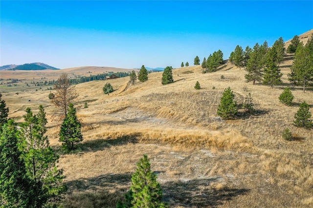 29011 Walking Horse Ln, Big Arm, MT 59910