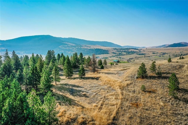 29011 Walking Horse Ln, Big Arm, MT 59910