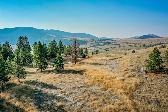 29011 Walking Horse Ln, Big Arm, MT 59910