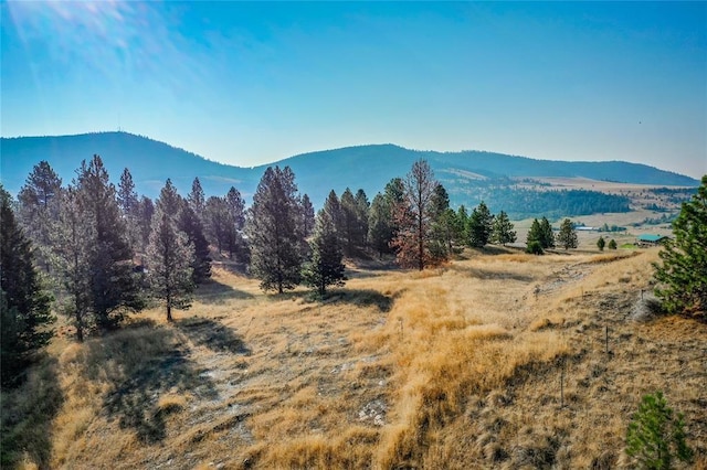 29011 Walking Horse Ln, Big Arm, MT 59910