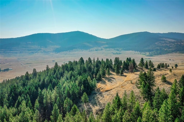 29011 Walking Horse Ln, Big Arm, MT 59910