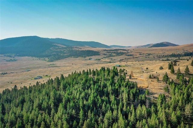 29011 Walking Horse Ln, Big Arm, MT 59910