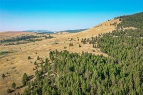 29011 Walking Horse Ln, Big Arm, MT 59910