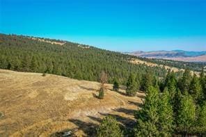 29011 Walking Horse Ln, Big Arm, MT 59910