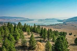 29011 Walking Horse Ln, Big Arm, MT 59910