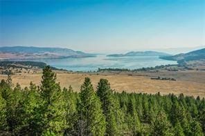 29011 Walking Horse Ln, Big Arm, MT 59910