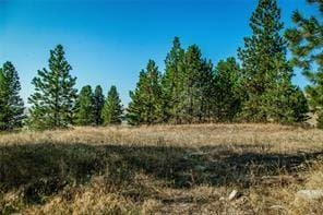 29011 Walking Horse Ln, Big Arm, MT 59910