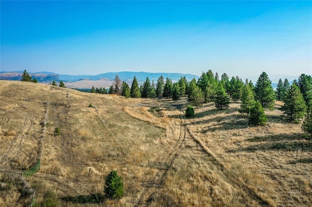 29011 Walking Horse Ln, Big Arm, MT 59910