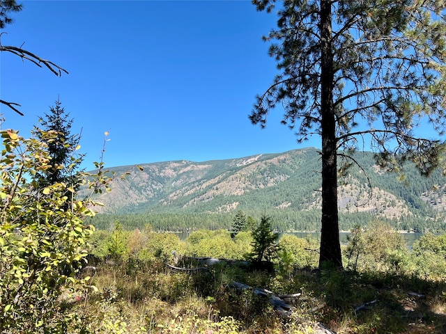 Listing photo 2 for NHN Sapphire Ln E Lot 4, Trout Creek MT 59874