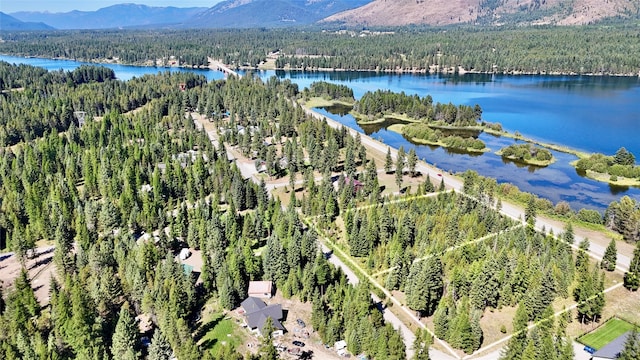 Listing photo 3 for NHN Sapphire Ln E Lot 4, Trout Creek MT 59874