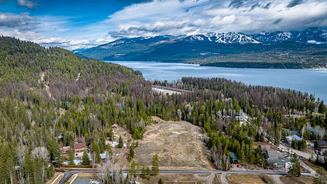 271 Lake Park Ln, Whitefish MT, 59937 land for sale