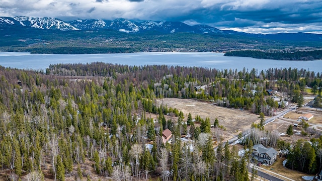 Listing photo 3 for 271 Lake Park Ln, Whitefish MT 59937