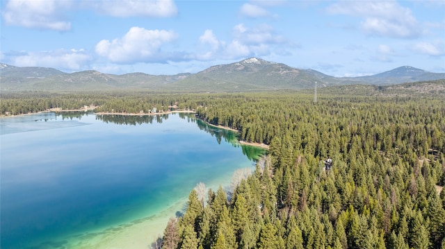 bird's eye view featuring a water and mountain view