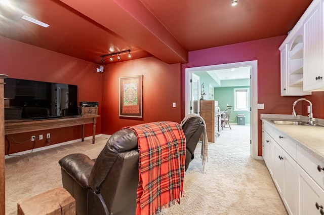 home theater with light carpet, track lighting, and sink