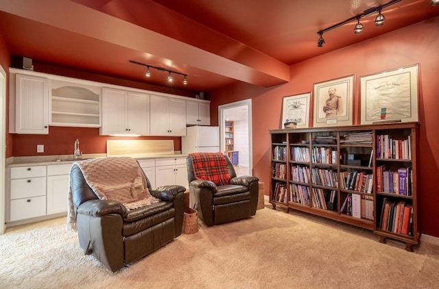 sitting room with rail lighting, light colored carpet, and sink