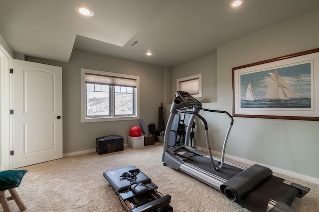 exercise area featuring carpet floors