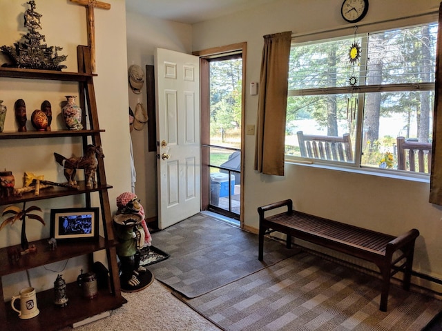 entryway with dark carpet