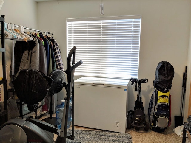 exercise area with carpet floors