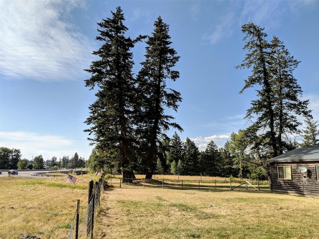 view of yard featuring a rural view