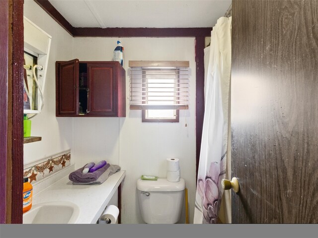 bathroom with toilet and vanity